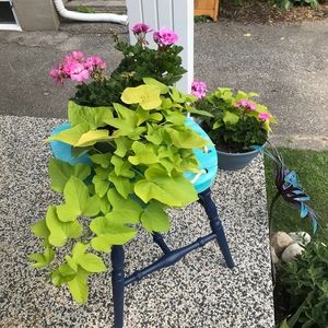 Meet your Posher, Judith